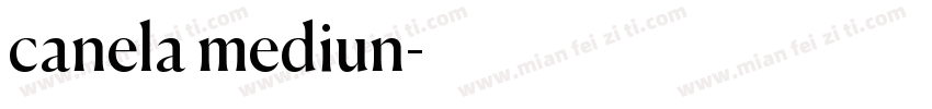 canela mediun字体转换